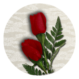 DAROUND 058 2 Roses Red